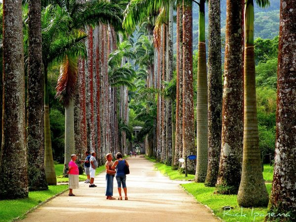 jardim-botanico-rio-de-janeiro