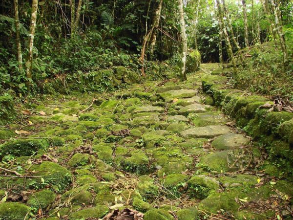 paraty-hiking-trails-ouro