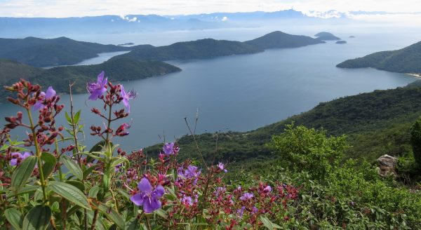 saco-do-mamangua-paraty-mirim