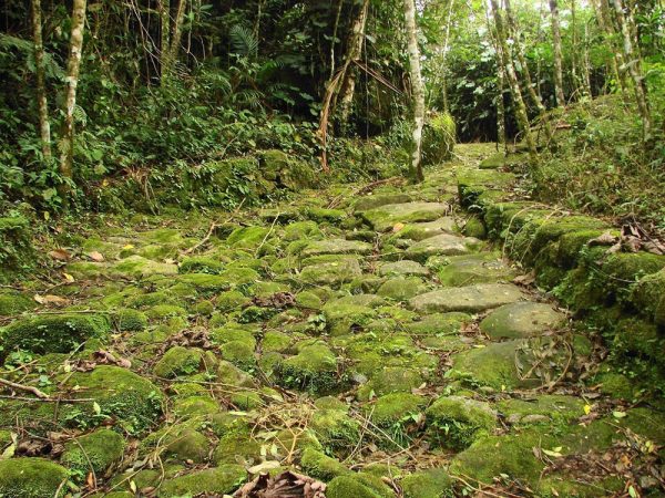 senderos-Paraty-Camino-del-Oro