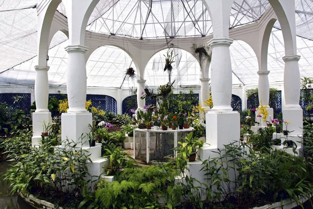 Jardín Botánico Río de Janeiro
